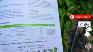 Болезни ПЕРСИКА – Клястероспориоз! КАК СПАСТИ Плодовые Деревья – ЧЕМ ОБРАБОТАТЬ?