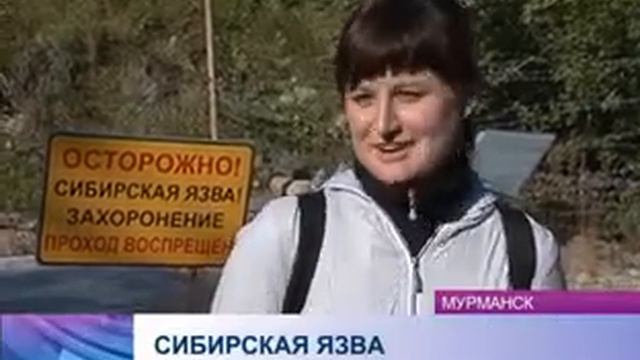 Захоронения сибирской язвы в Мурманской области смотреть онлайн