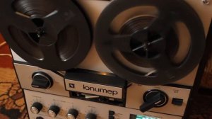 RHCP — Under the Bridge