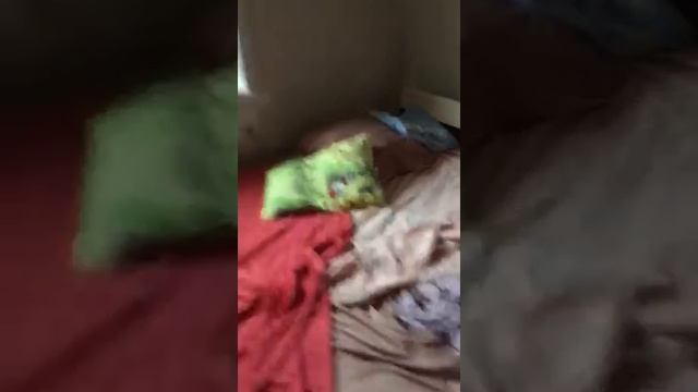 Капитальный ремонт(1) смотреть онлайн