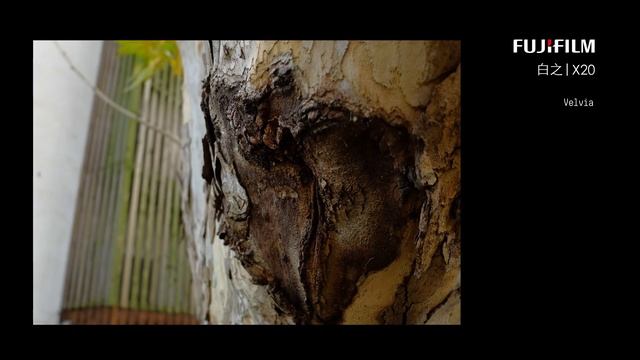 用富士X20看中国杭州的小河直街 fujifilm смотреть онлайн