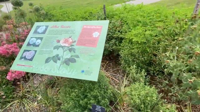 ROYAL BOTANICAL GARDENS RBG 1 #Hamilton#Ontario#Canada#Burlington#garden смотреть онлайн