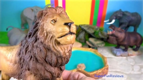 Big Cat Week 2020 Tigers Lions White Tiger White Lion Hippopotamus Elephants and Rhinoceros 13+