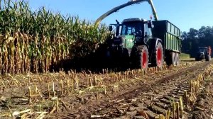 Уборка кукурузы на силос в Германии