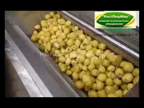 Машина чистки картофеля GB-1000 от РостПищМаш смотреть онлайн