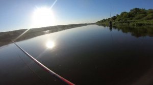 Рыбалка на Оке. Обзор  маховой  удочки Aventador Kaida 7 метров