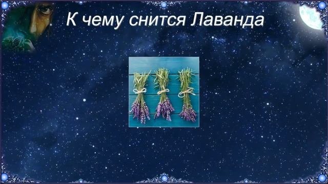 К чему снится Лаванда (Сонник)