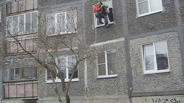 цветы в окно