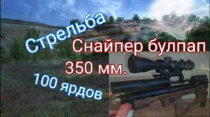 Крюгерган снайпер стрельба на 100 ярдов