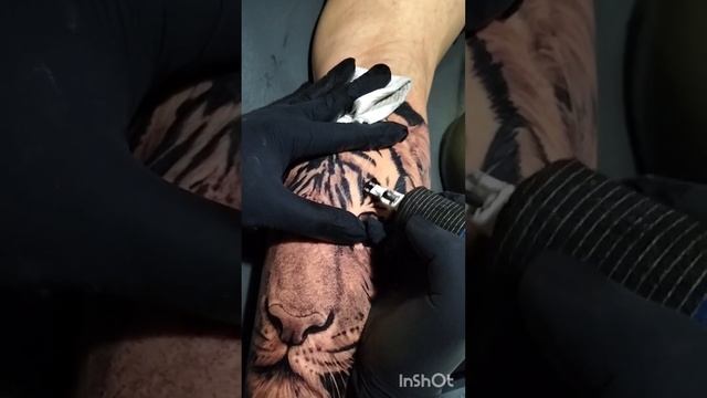 Black and Gray Tiger Tattoo Tutorial смотреть онлайн