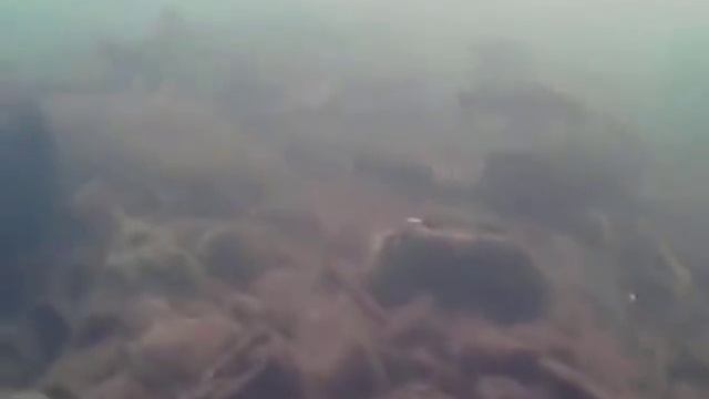 р.Клязьма подводные съемки Водоглазом смотреть онлайн