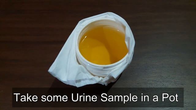 Pregnancy Check By Pregnancy Strip Test