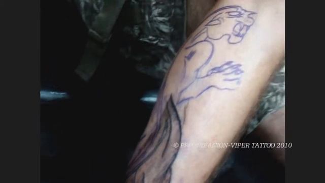 VIPER TATTOO-BLACK PANTHER (Fase 1) & DECAPITATED SKULL смотреть онлайн