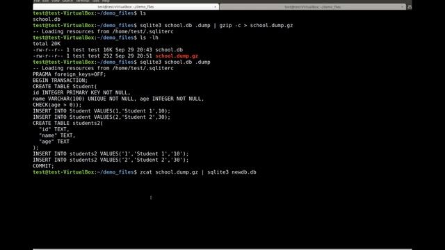 Chapter 02 Section 05 - backup restore смотреть онлайн