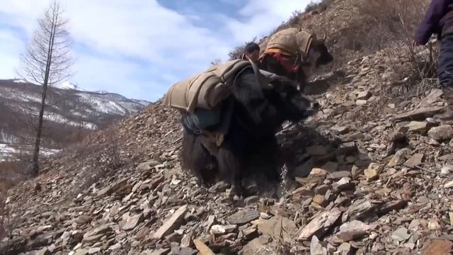 Mongolie, les Nomades du Lac Gelé | Les routes de l'impossible смотреть онлайн