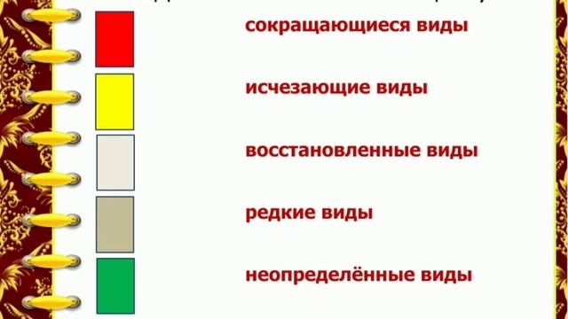 4 класс 48 урок. По страницам Красной книги смотреть онлайн