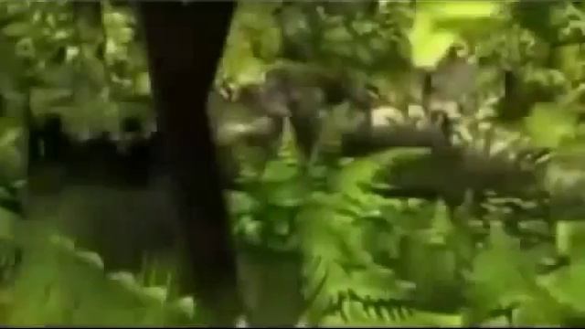 Луиза Хей. Молитва благодарности от Луизы Хей смотреть онлайн