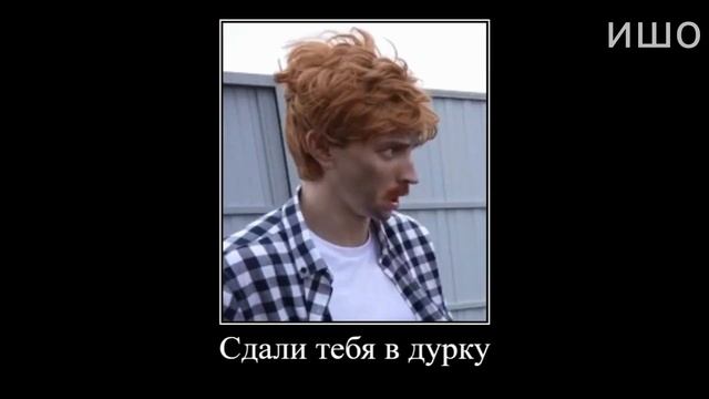 Муд Влад А4 демотиватор (Риви Прожила 100 Лет за 24 Часа) смотреть онлайн