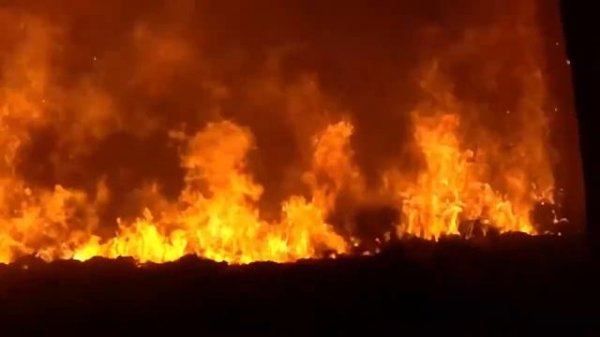 Экскурсия по проекту сжигания куриного помета\Guided tour of the chicken manure incineration projec