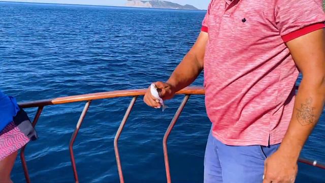 Морская рыбалка от Компании Deep Gayrimenkul смотреть онлайн