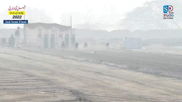 Country Breed Greyhound Semi Final | Faisalabad Derby Chak Chori |20-12-2022 #greyhound #derby смотреть онлайн