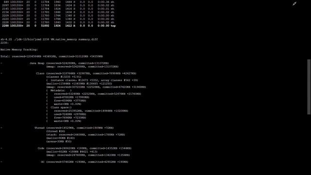 Java 12 Native Memory - Troubleshooting Guide смотреть онлайн