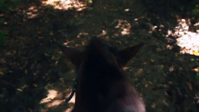 Dominican Republic | Punta Cana | Bayahibe | Dominicus смотреть онлайн