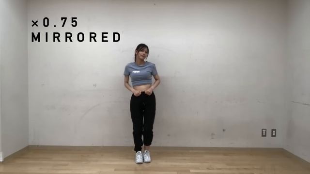 【ダンスレクチャー】Tell me - Wonder Girls / MIRRORED（反転）&BACK（背面）×0.75 смотреть онлайн