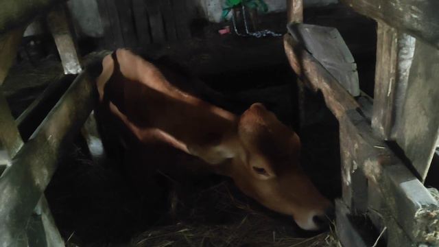 18+ Лаванда 1.05.2023. смотреть онлайн