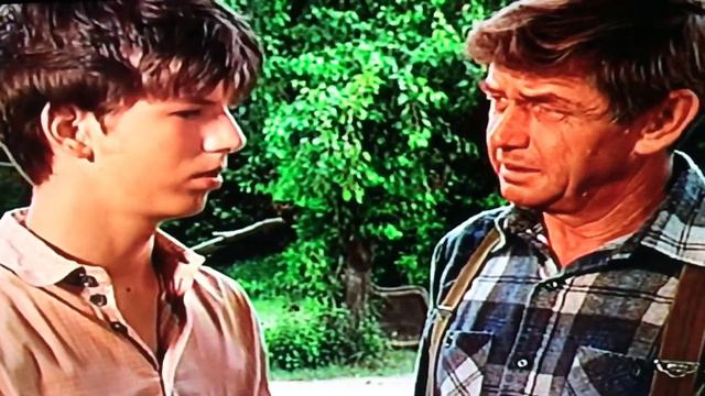 Jim Bob Rescues Josh / The Waltons / Todd Bridges смотреть онлайн