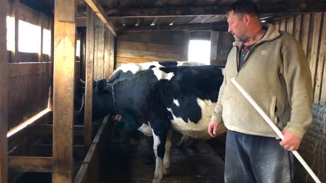 ПЕРВЫЙ РАЗ СЛЫШУ ЧТОБЫ ОН ТАК РЫЧАЛ ?? смотреть онлайн