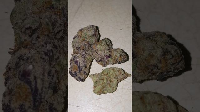 Sundae Driver Strain смотреть онлайн