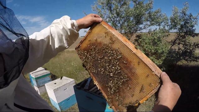 Первая качка. Майский мед. смотреть онлайн