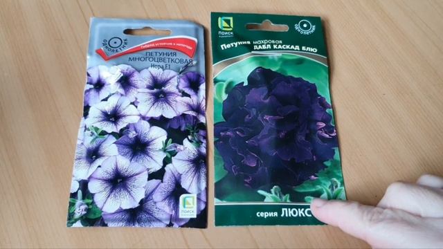 Агрф.ПОИСК+☘️Обзор семян 2023. смотреть онлайн