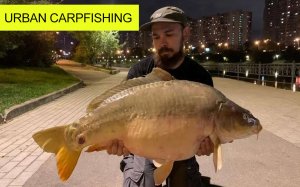 Городской карпфишинг. Urban Carpfishing.