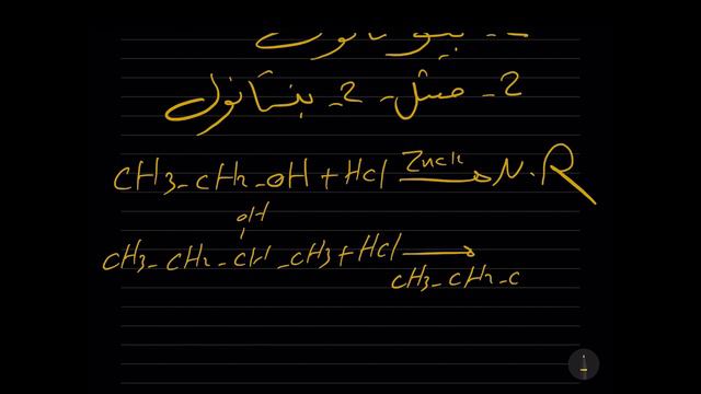 VID_20240325_125551_131.mp4