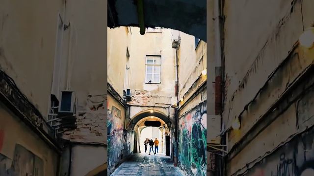 #львов #autumnvibes #reels #жизнь #любовь #travel #city #street смотреть онлайн