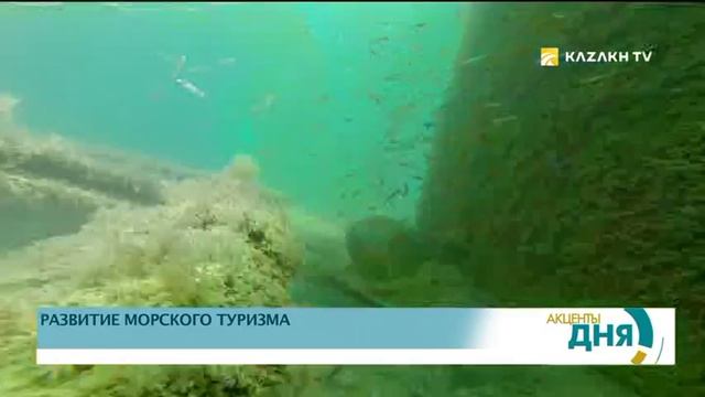 Круизы по Каспию из Актау могут стать реальностью уже через три года смотреть онлайн