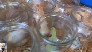 Самая вкусная тушенка из индейки в Автоклаве