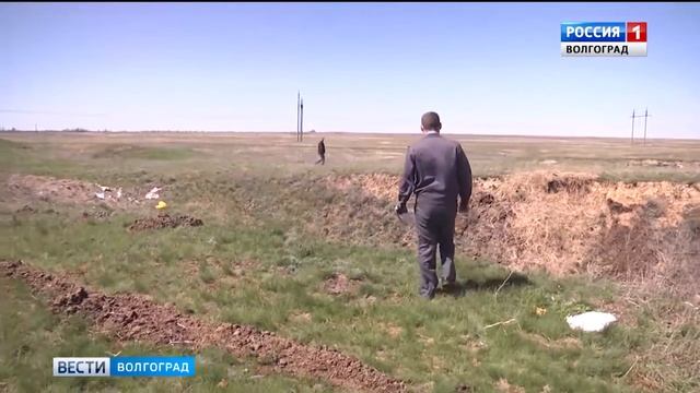 О проблеме зарастания земель сельхозназначения в Волгоградской области смотреть онлайн