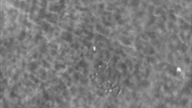 Rehkitzsuche 2016 (DJI Inspire 1, Flir Vue Pro) смотреть онлайн