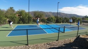Pickleball!  Very Good Play. Outstanding Defense. Incredible Setting. Learn by Watching Others.