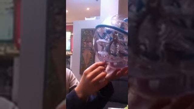 Triche perplexus epic смотреть онлайн