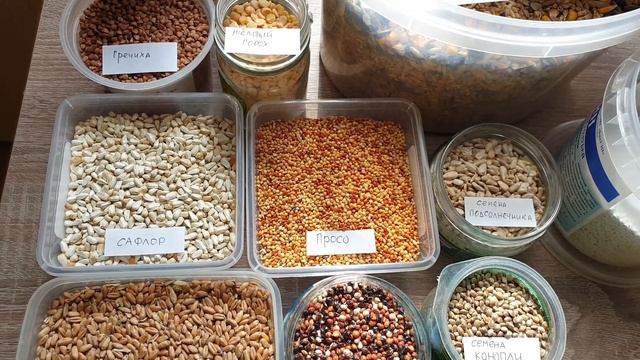 Петя и компания. Часть 49 (полезные крупы для голубей) смотреть онлайн