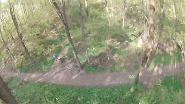 Spring Forest (GepRC TinyGo FPV 19) смотреть онлайн