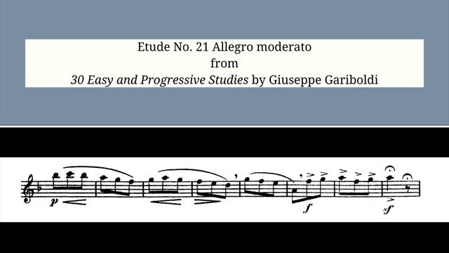 Gariboldi: Etude No. 21 Allegro moderato from 30 Easy and Progressive Studies смотреть онлайн