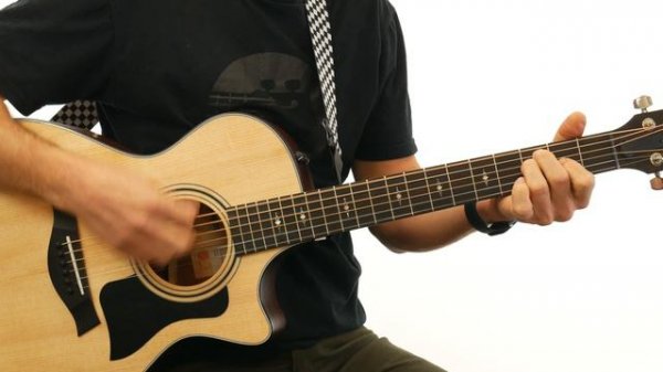 Taylor 312CE Acoustic Guitar Review