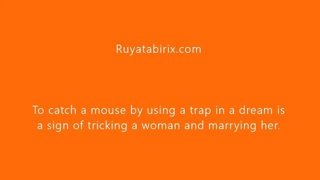 The Meaning Of Mouse In Dream