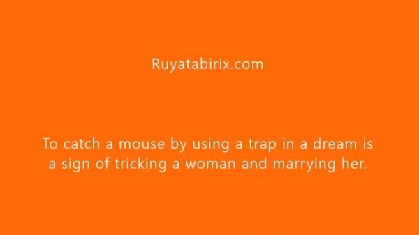 the meaning of mouse in dream