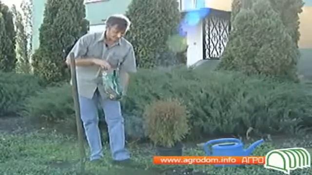 Видео о Туе смотреть онлайн